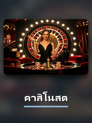 โต๊ะคาสิโนสด ในห้อง VIP ของ D55